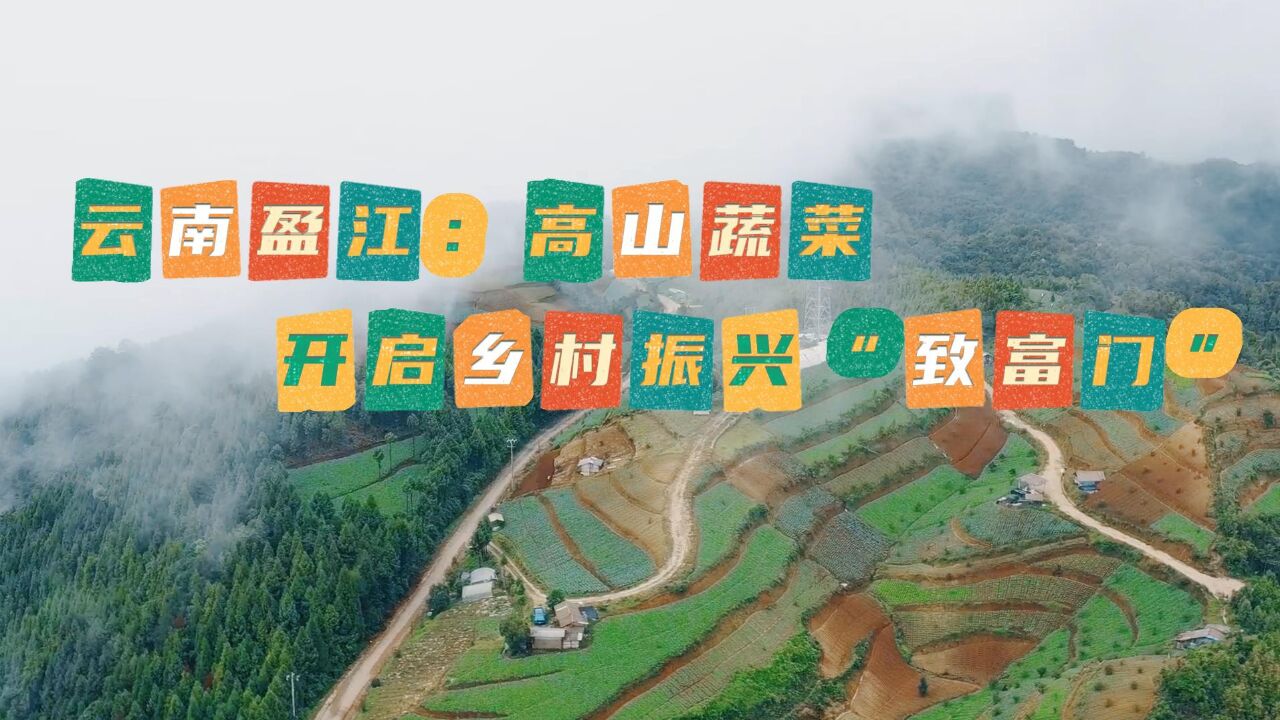 云南盈江:高山蔬菜开启乡村振兴“致富门”