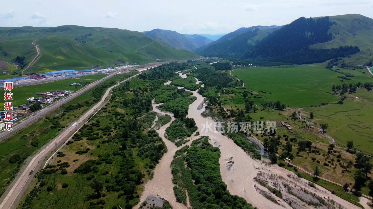 航拍那拉提大草原,世界四大草原之一,王琪歌曲中的美丽之地