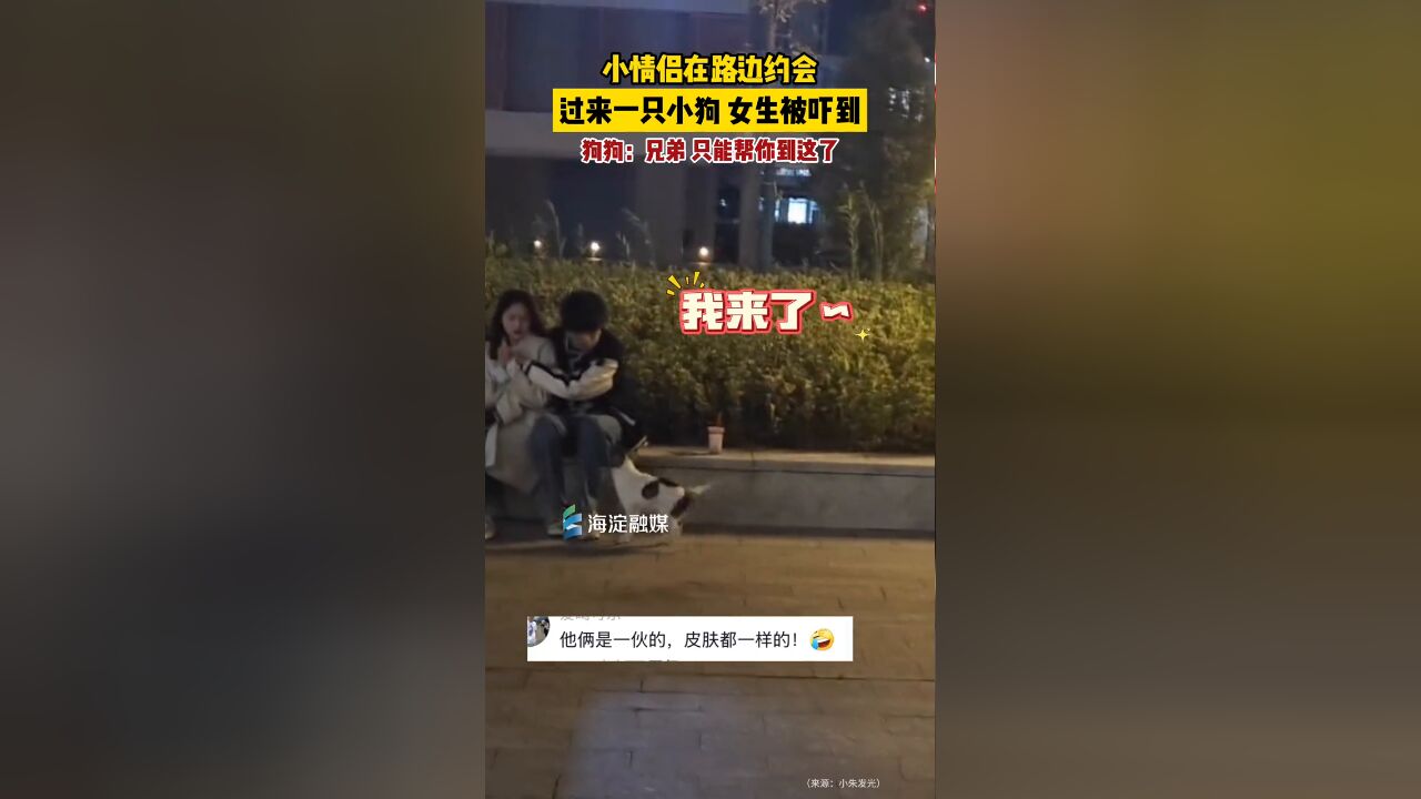 小情侣在路边约会,过来一只小狗,女生被吓到