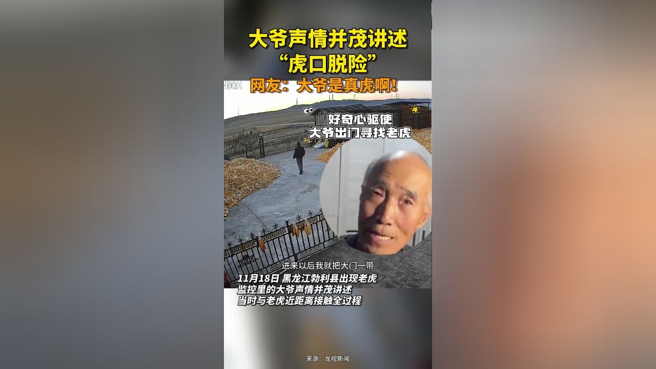 大爷声情并茂讲述“虎口脱险”.网友:大爷是真虎啊!