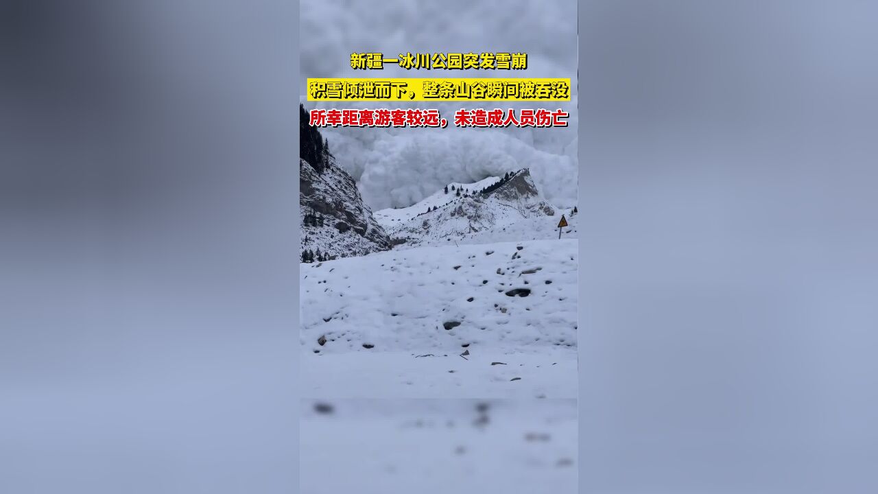 新疆一冰川公园突发雪崩,积雪倾泄而下,整条山谷瞬间被吞没