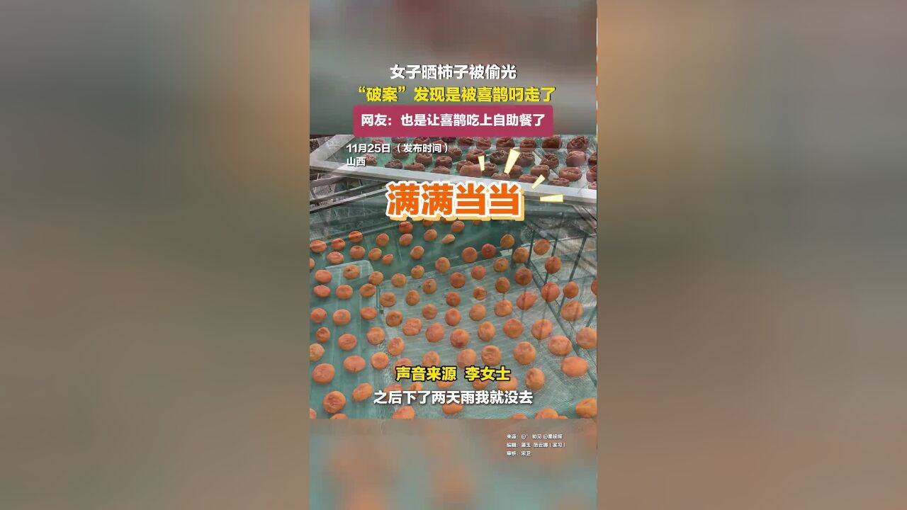 女子晒柿子被偷光,“破案”发现是被喜鹊叼走了,网友:也是让喜鹊吃上自助餐了