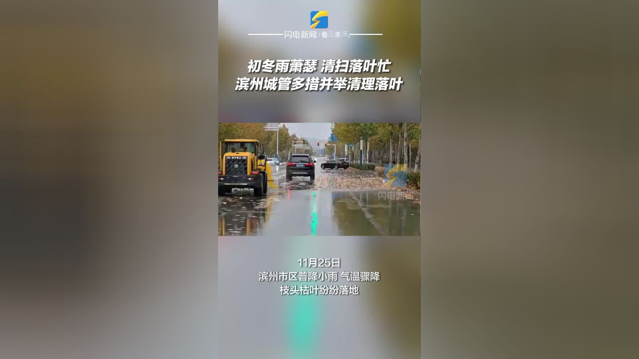 初冬雨萧瑟 清扫落叶忙 滨州城管多措并举清理落叶