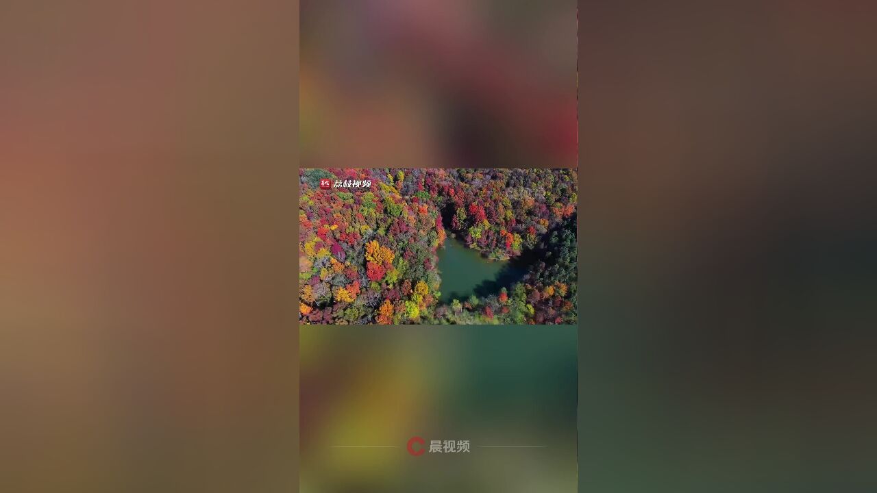 浪漫有爱!江苏句容漫山彩林簇拥“爱心”形湖泊