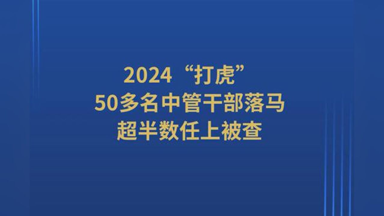 2024“打虎”:50多名中管干部落马 超半数任上被查