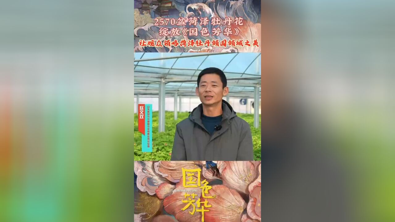 菏泽市牡丹区为电视剧《国色芳华》赞助2570盆牡丹