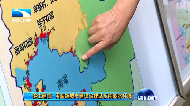 院土建言 用海绵城市建设治理武汉南湖水环境