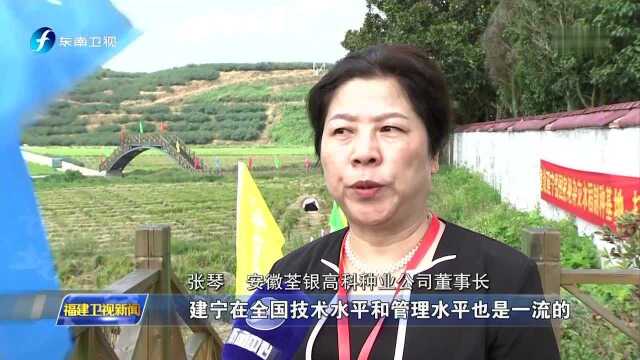 三明建宁 中国稻种基地论坛举行