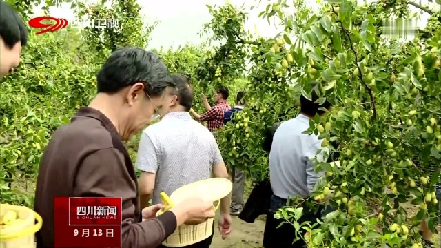 德阳罗江 建基地 农产品直达对口餐饮厨房