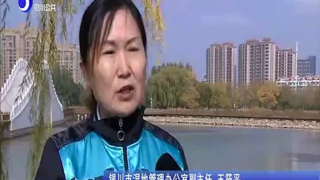 以水为媒 浸润生态之城