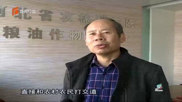 创新植保服务模式 助力农业产业发展