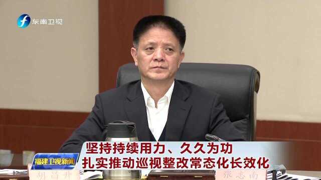 坚持持续用力、久久为功 扎实推动巡视整改常态化长效化