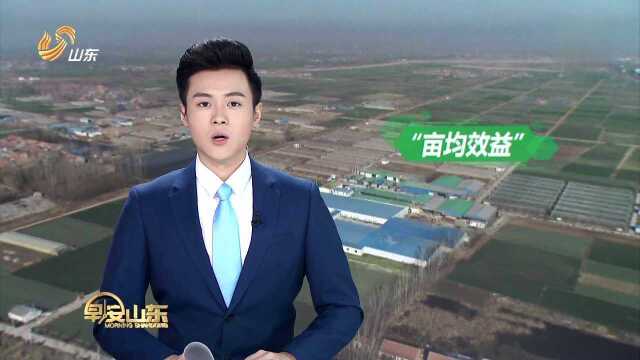 山东实施建设用地控制新标准 推行“亩均效益”