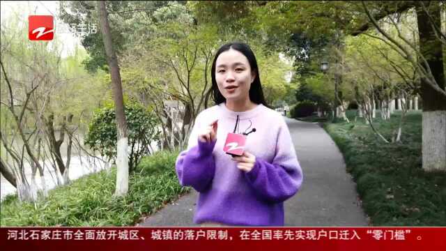 新增网红打卡点! 杭州6月上线首条超酷炫“夜跑廊道”