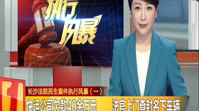 长沙法院民生案件执行风暴(一):快运公司欠款40余万元 法官上门查封名下车辆