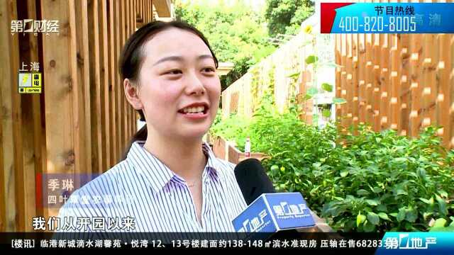 潍坊新村街道:拆违空地变身都市农园