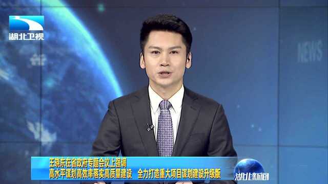 王晓东在省政府专题会议上强调