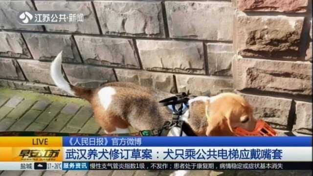 《人民日报》官方微博:武汉养犬修订草案——犬只乘公共电梯应戴嘴套