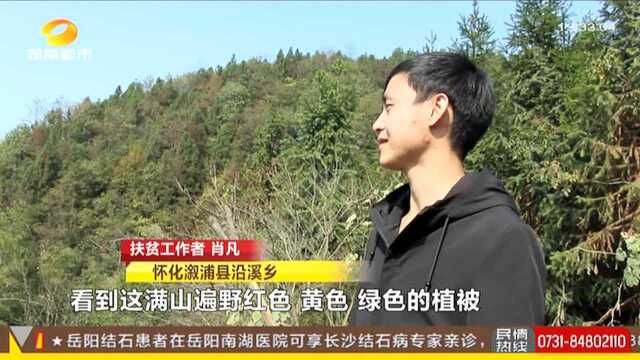 怀化洪江:嵩云山云海秘境 雪缎翻滚宛如仙境