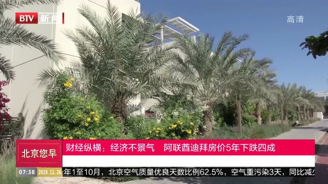 财经纵横:经济不景气 阿联酋迪拜房价5年下跌四成