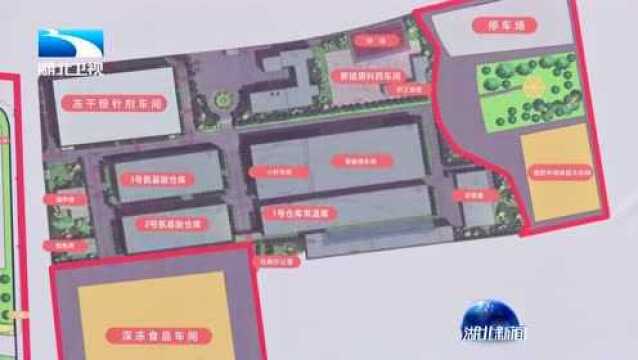 宜昌市举行2019年9月重大项目集中开工活动