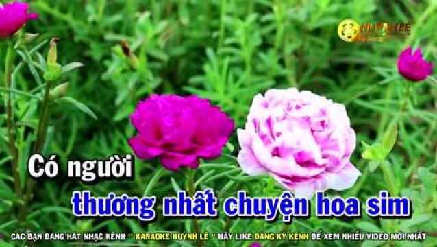 Chuyện Hoa Sim  Tone Nam