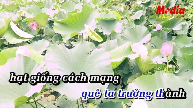 Quảng Binh Qu㪠Ta 栩