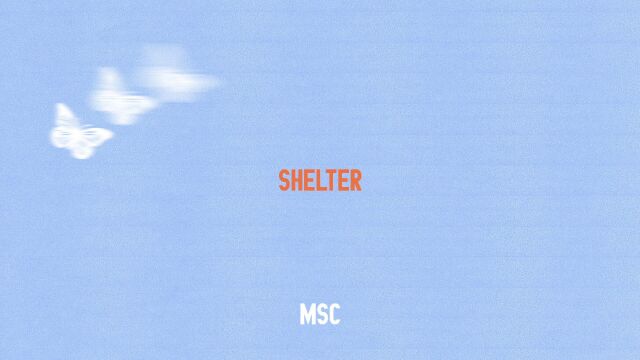 Shelter