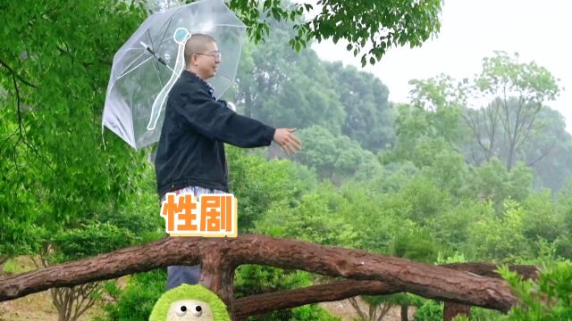 《白蛇传》但是性转,白敬亭本色出演了属于是~