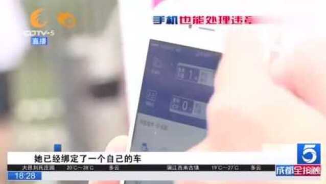 手机也能处理违章了!交管12123,方便你我他