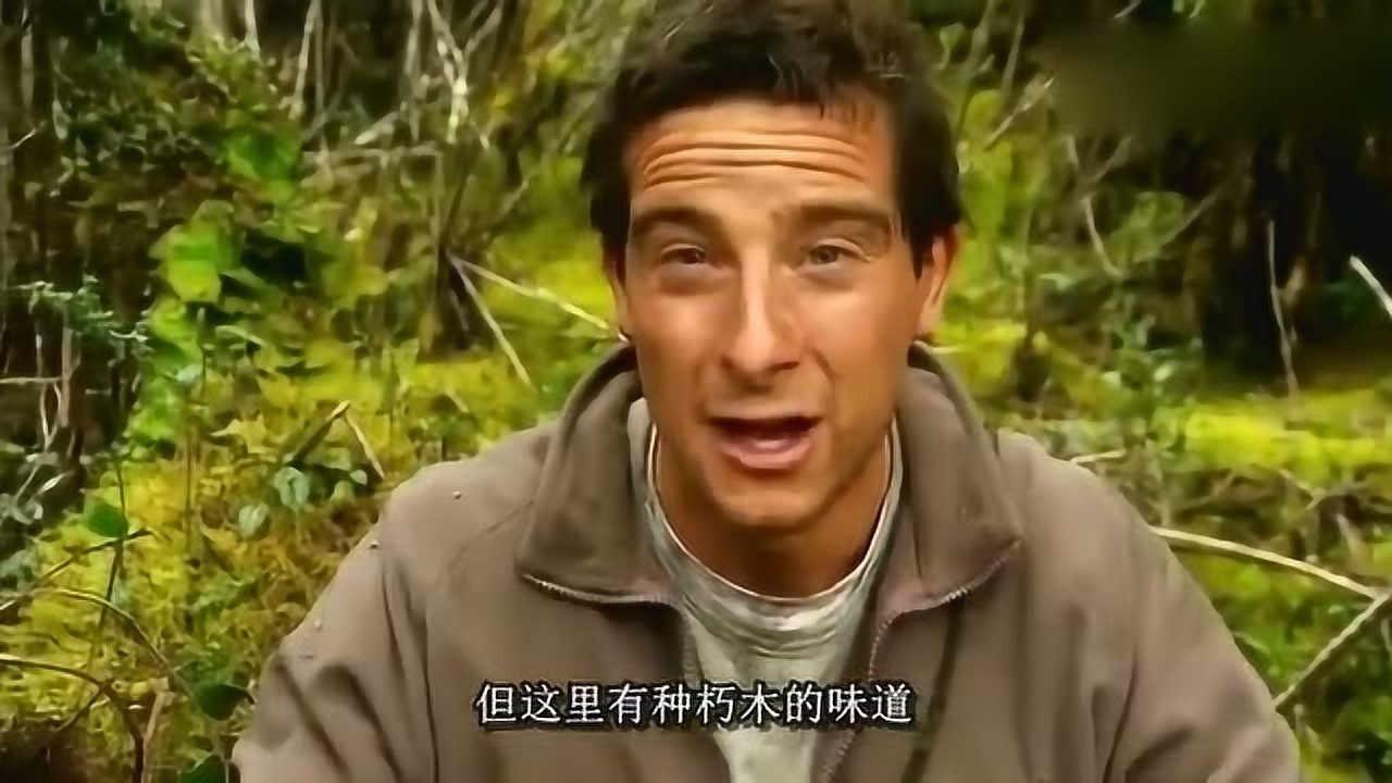 荒野求生贝爷捉到一条蛇蜥可惜有毒要不就吃掉了