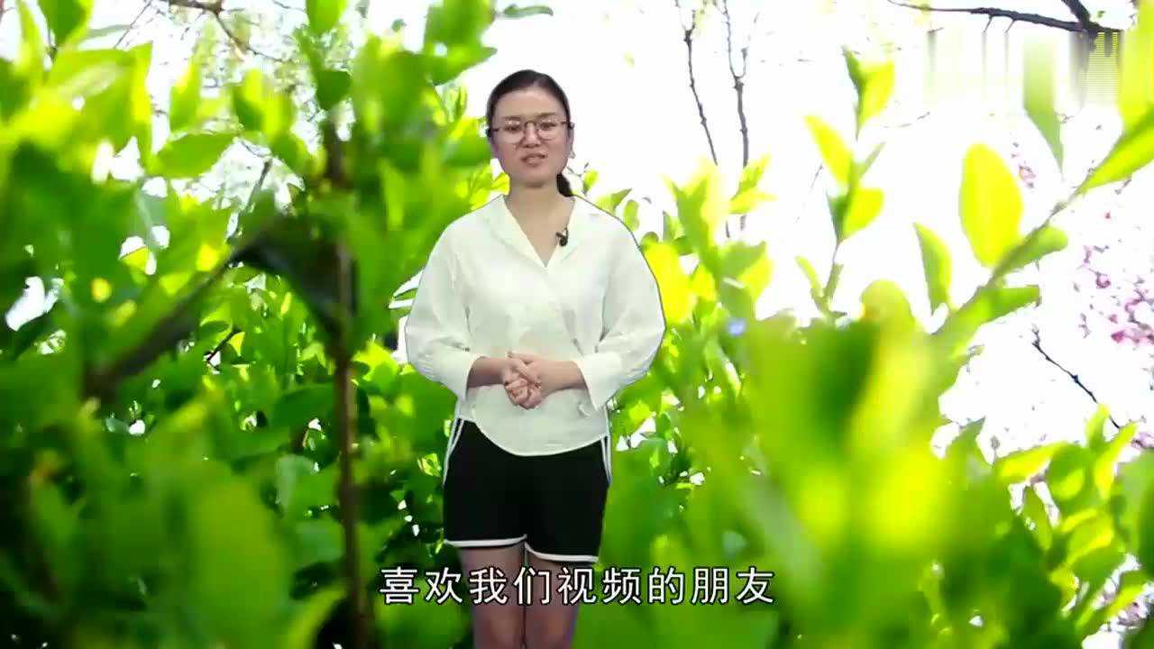 变形计张迪回农村探望丽姐昔日霸气丽姐如今美出新高度