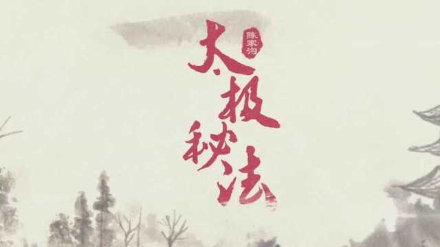 “少帅”陈斌的太极拳“五步教学法”