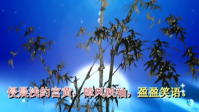 《瑞龙吟 大石春景》周邦彦 视频朗诵“所见所爱 忆念伊人”