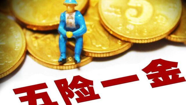 五险一金中有哪个可以随时缴随时用?这个您需要知道!