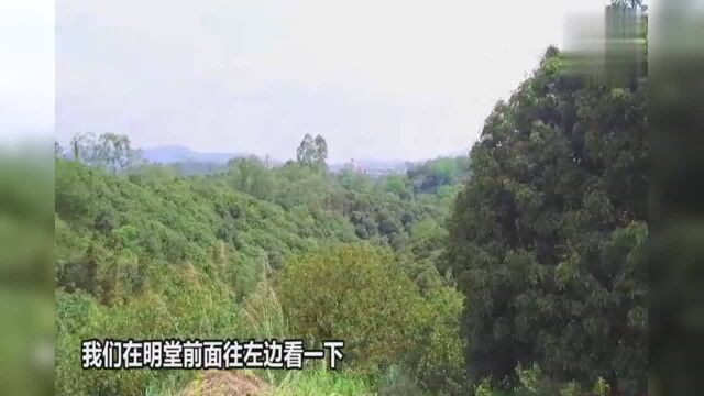 带您看看广西北流大伦风水宝地,风吹罗带