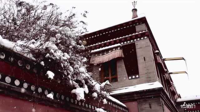 青海塔尔寺雪景