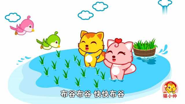 猫小帅搞笑益智动画:布谷鸟