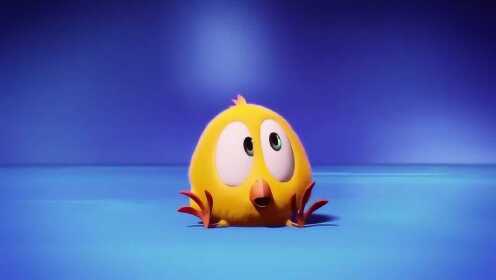 小鸡jaki在哪儿：小萌鸡和高尔夫球玩赛跑