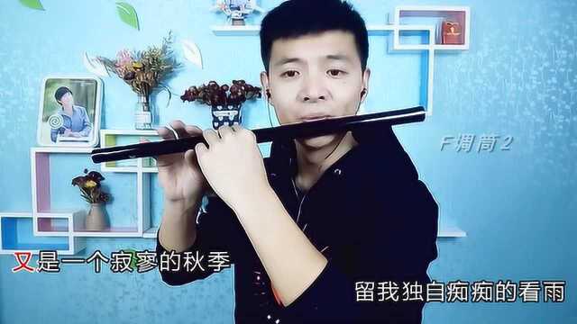 笛声缘:笛子一曲网络情歌《红尘雨》超级好听!