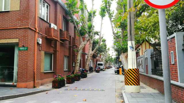 上海武康路:公路环境绿树成荫,位于上海市徐汇区,不错的景点