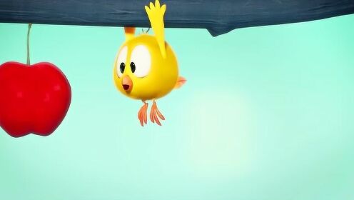 小鸡Jaki在哪儿：为了食物，小萌鸡愿意冒险