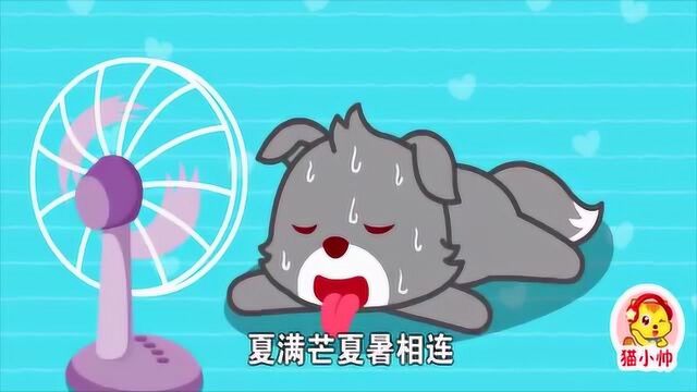 猫小帅儿歌:二十四节气歌春雨惊春清谷天,夏满芒夏暑相连