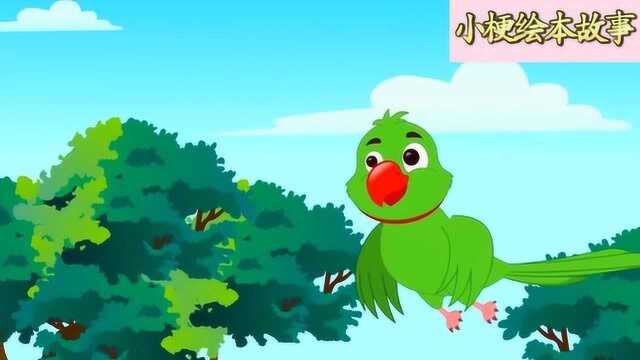 小梗绘本故事,《大树和小鸟》,探索动物世界