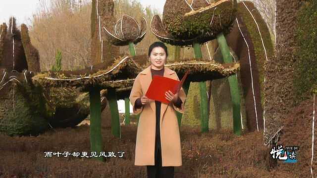 武强《悦读》第30期马晓彤