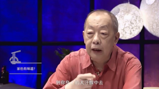 陈立说窝味一辈子不会变,也会带入你新的家庭