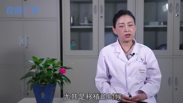 噬血细胞综合征治愈后会复发吗?