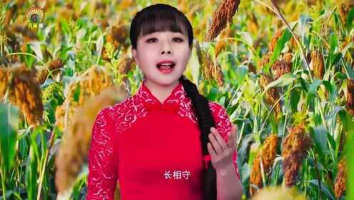 Thumbplayer Poster Plugin Image