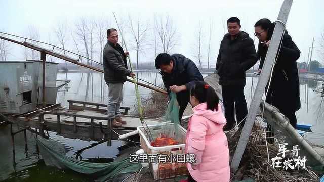 卖金鱼是暴利?鱼塘老板揭露水族馆卖鱼价格内幕,真的假的?