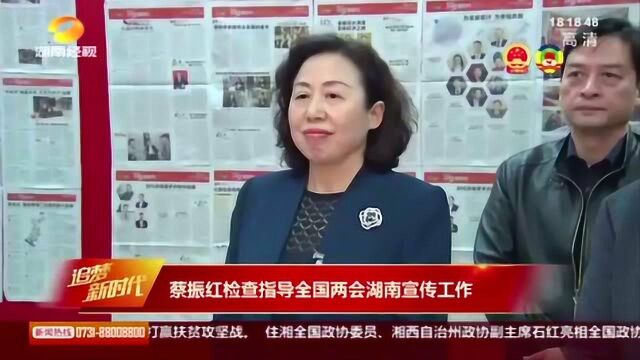 蔡振红检查指导全国两会湖南宣传工作